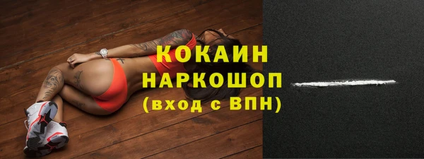 гашик Вяземский