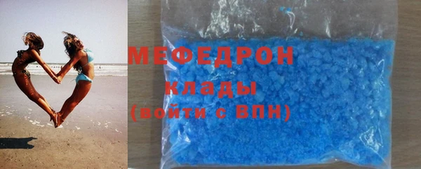 индика Горнозаводск
