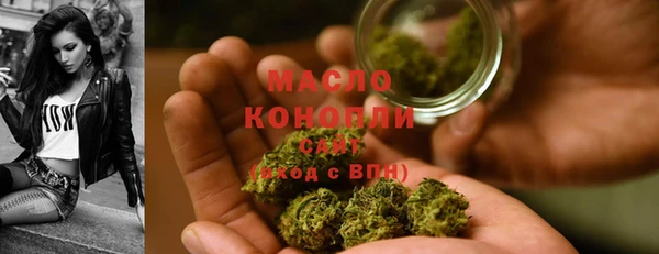 гашик Вяземский