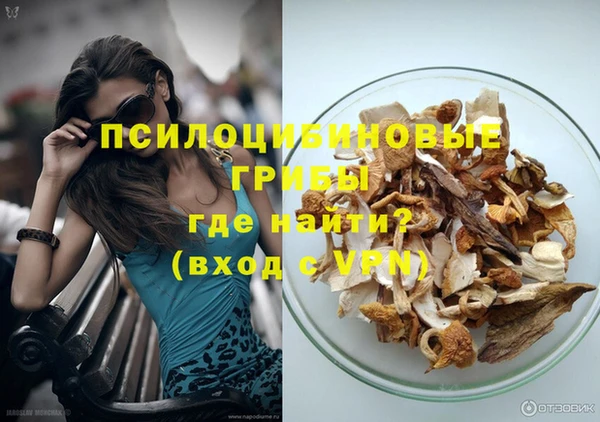 сатива Вязники