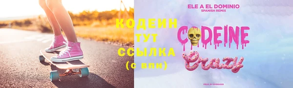 индика Горнозаводск