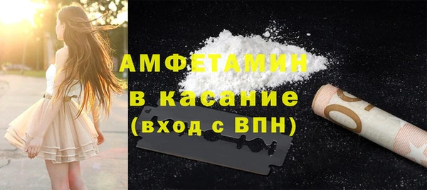 гашик Вяземский