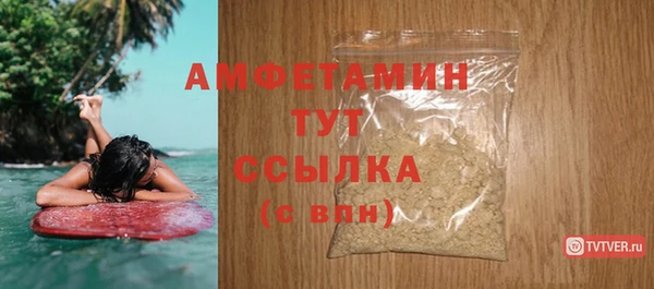 индика Горнозаводск