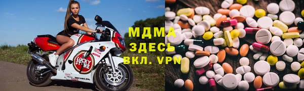 индика Горнозаводск